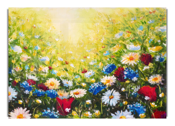 Das Blumenspektrum des Sommers