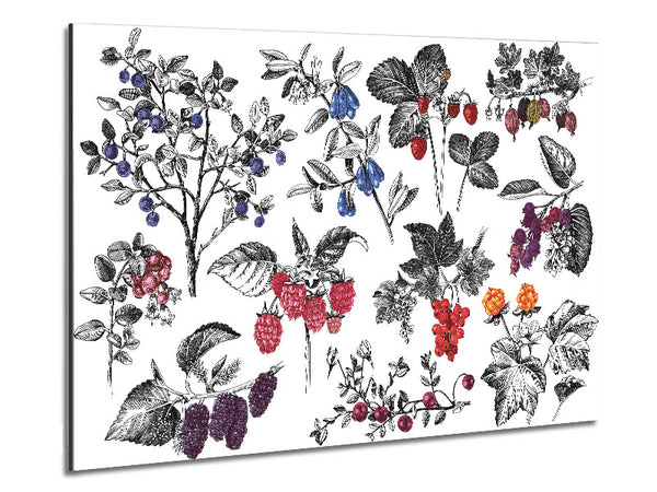 Collage aus Blumen und Beeren
