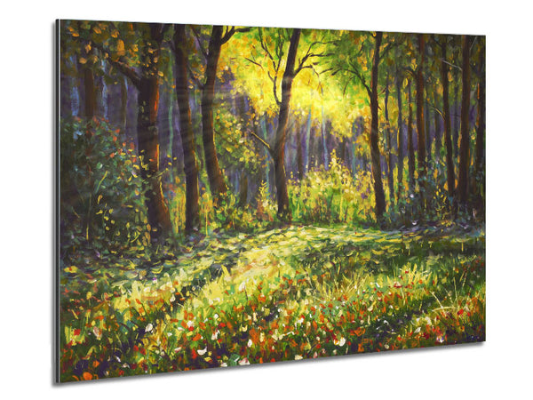 Sunshine Through The Woodlands Metal Print