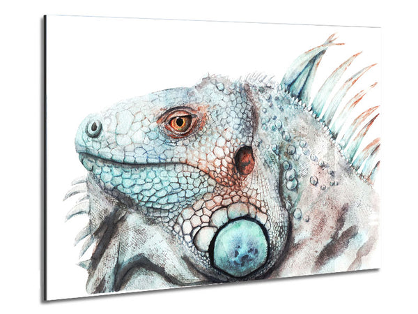 Iguana Stare Metal Print