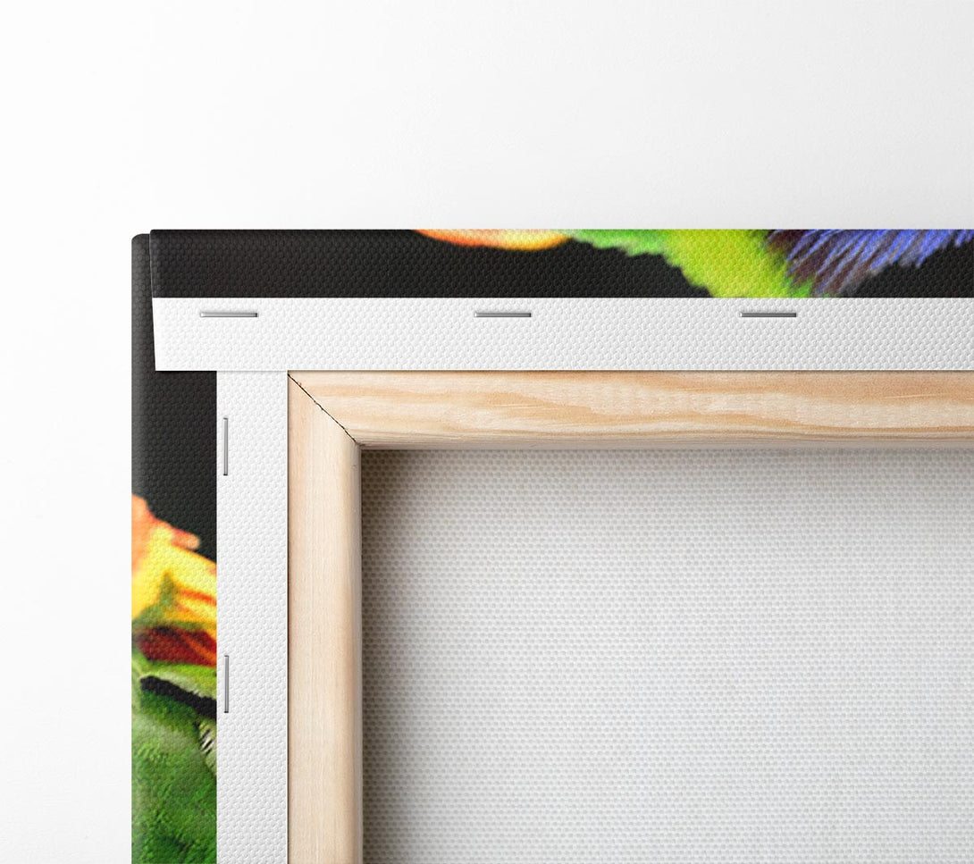  A Canvas Print of Colourful Parrot Feather Peck Canvas Art
