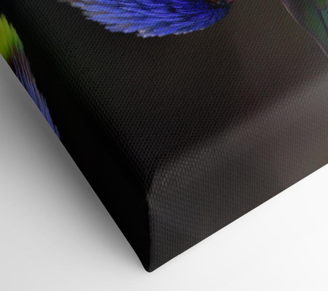  A Canvas Print of Colourful Parrot Feather Peck Canvas Art