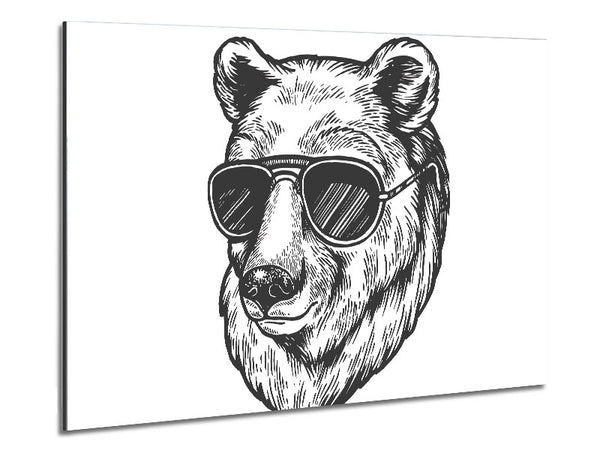 Bär Sonnenbrille Chill