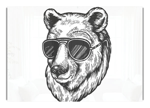 Bär Sonnenbrille Chill
