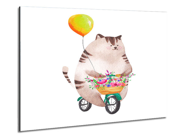 Katze auf einem Fahrrad