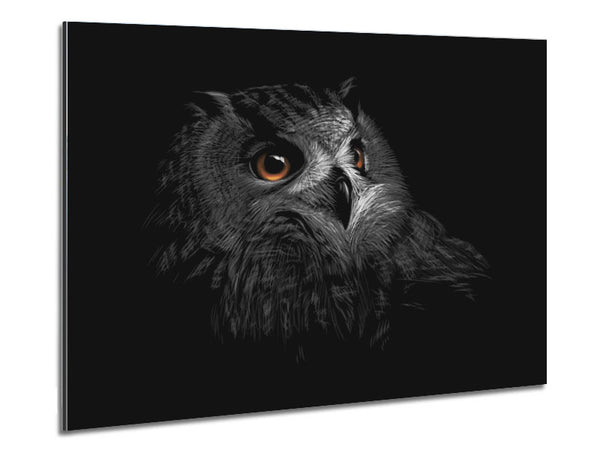 Owl In The Dark Of Night Metal Print