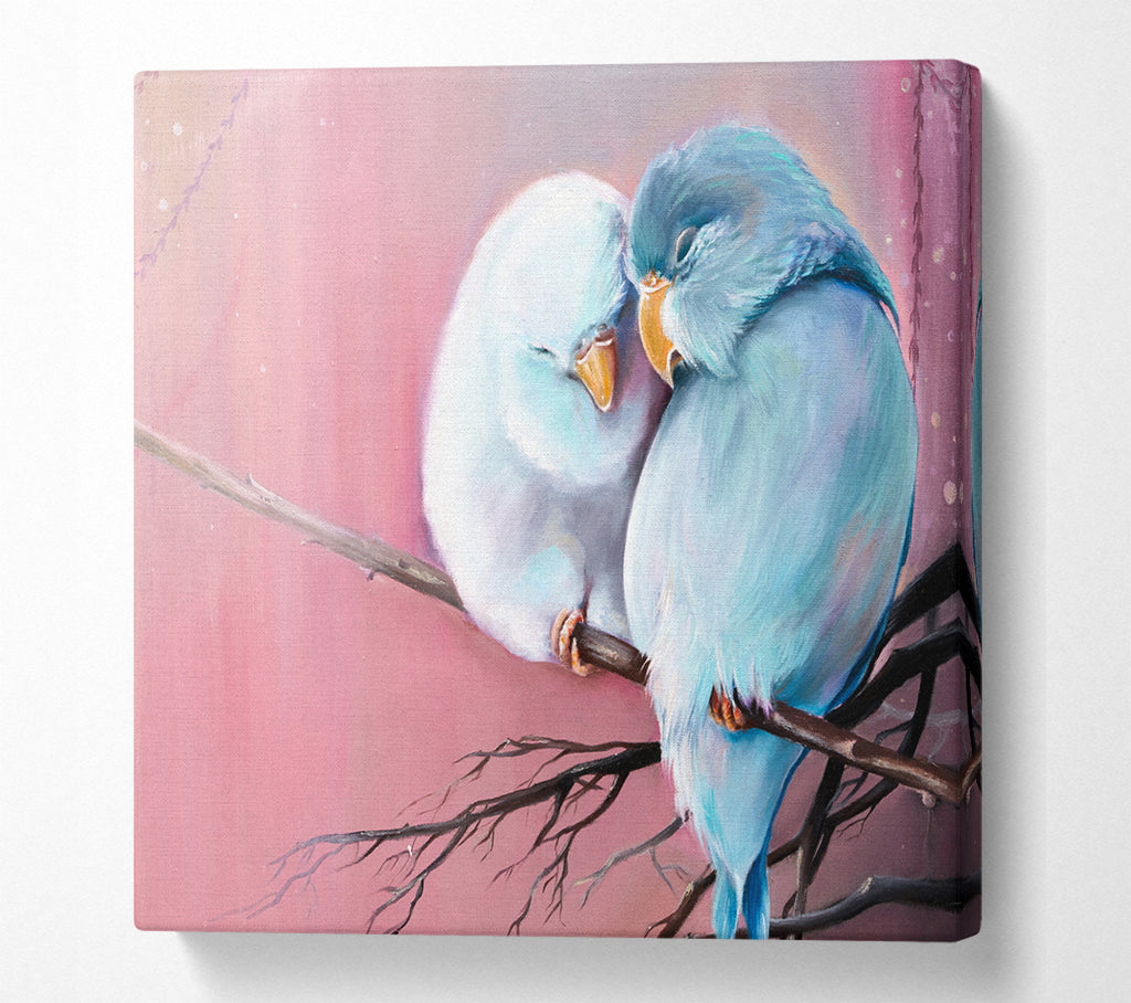 A Square Canvas Print Showing Two Love Birds On A Branch Square Wall Art