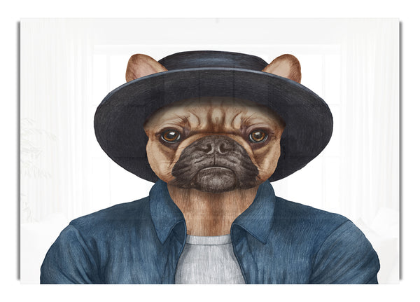 French Bulldog Hat Dog