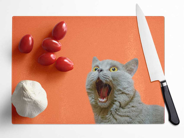 Cat On The Orange Glass Chopping Board