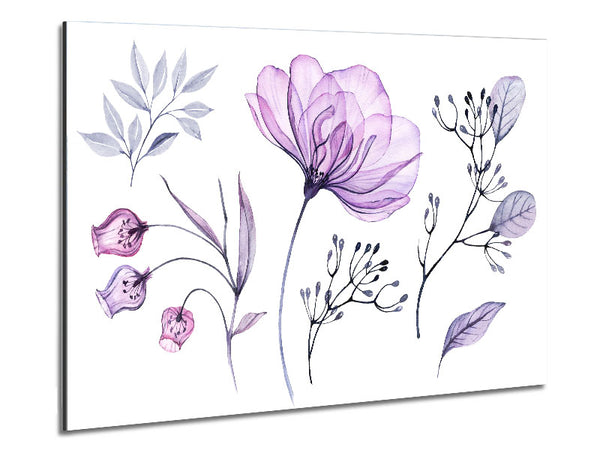 Small Lilac Crocus Illustration Metal Print