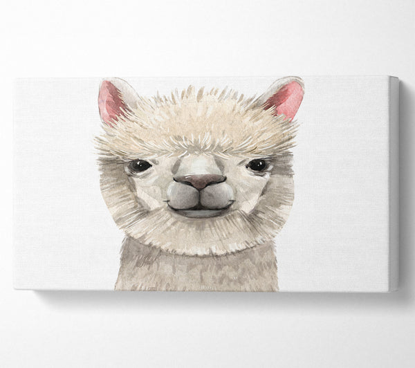 Lama-Drama