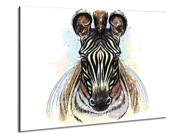 Stunning Zebra Head Metal Print
