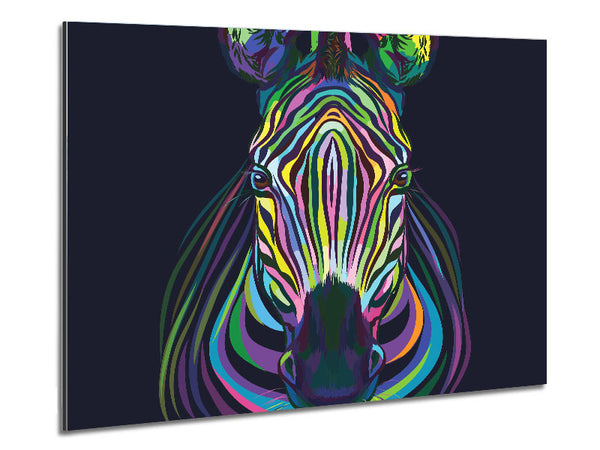 Stunning Zebra Vibrant Metal Print