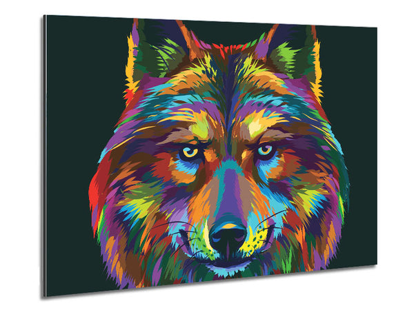 Stunning Wolf Head Metal Print