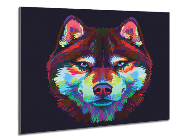 Lebendiger Wolf Blues