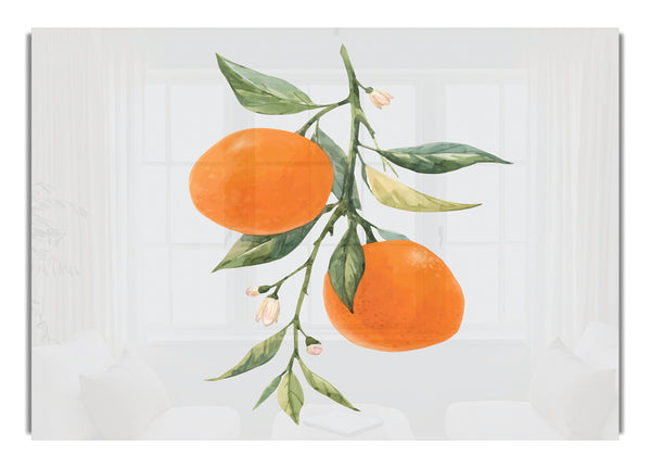 Orangen frisch auf dem Zweig