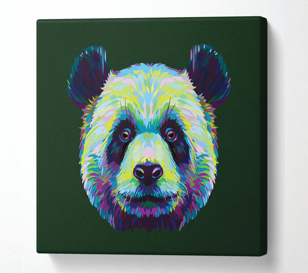 A Square Canvas Print Showing The Panda Head Square Wall Art