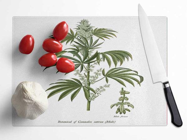 National History Botanics Glass Chopping Board