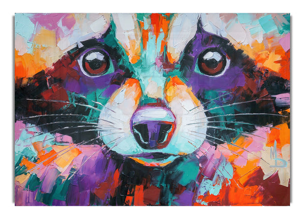 Waschbär, Lebendiges Gesicht