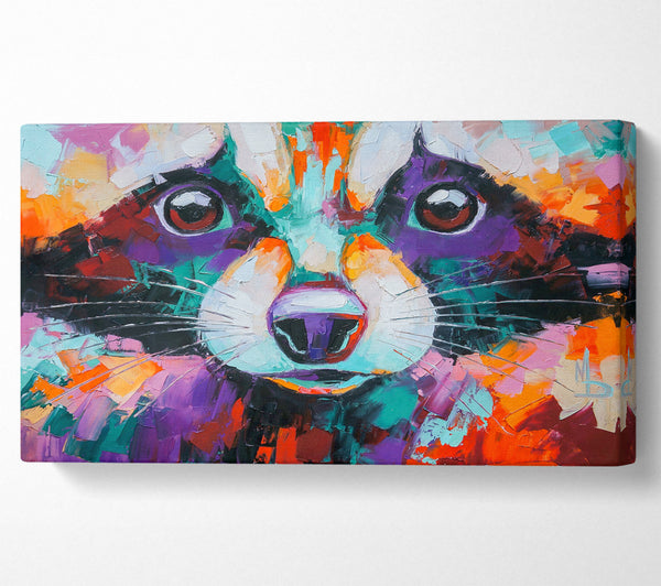 Waschbär, Lebendiges Gesicht
