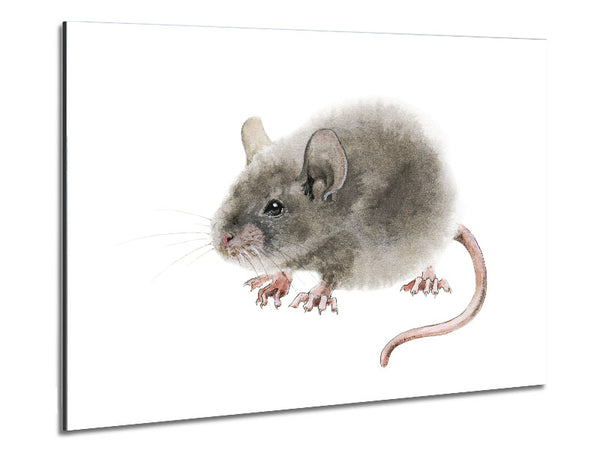 Süße kleine Maus