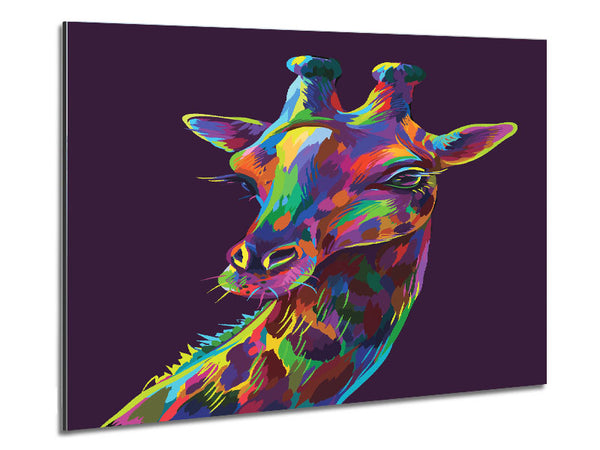 Schöne Giraffe