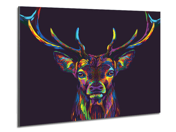 The Colourful Stag