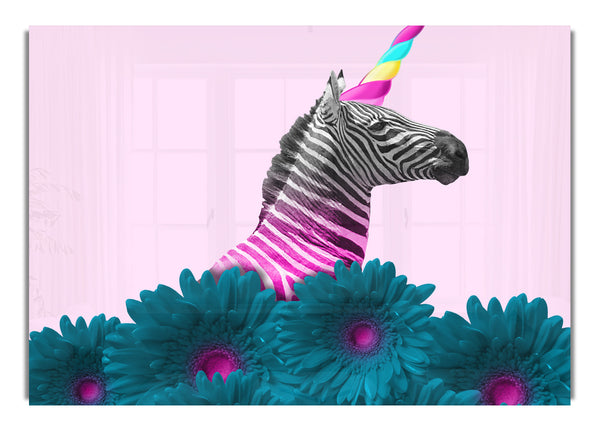 Das Hornzebra
