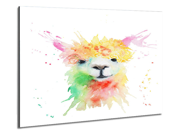 Splatter Colour Alpaca Metal Print