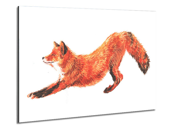 The Fox Crouching Metal Print