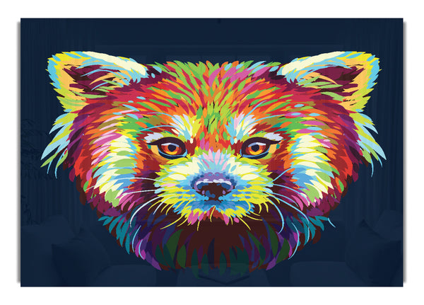 Roter Panda starrt