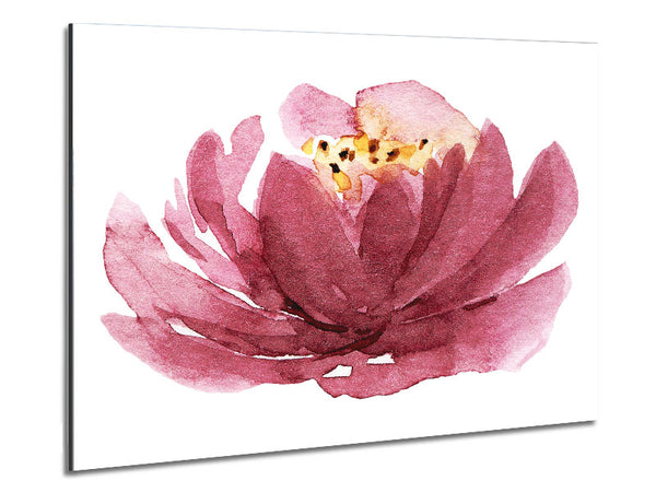 Die Eröffnung der rosa Blume
