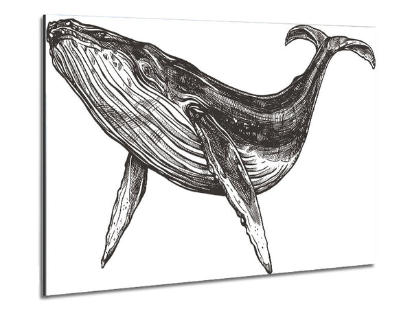 The Huge Whale Metal Print