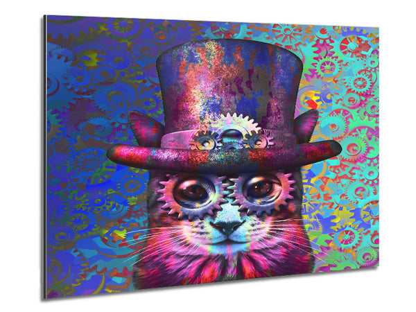 Die Zylinderkatze
