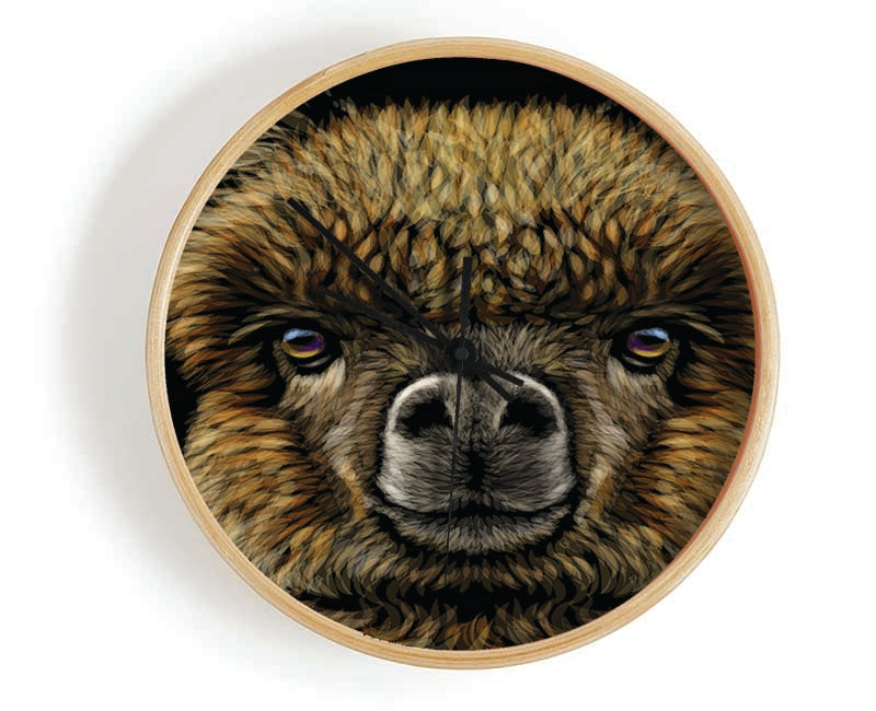 Alpaca Up Close Clock - Wallart-Direct UK