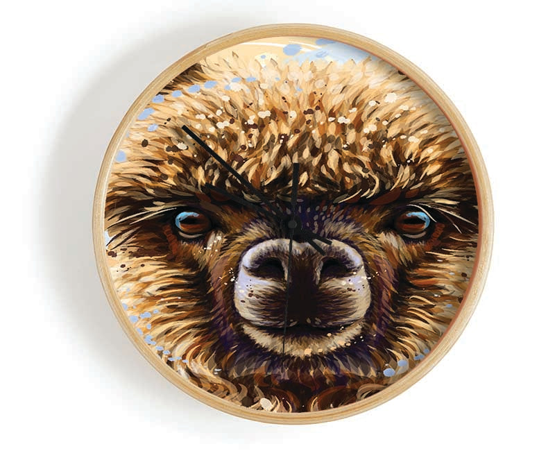 Alpaca Stare Clock - Wallart-Direct UK