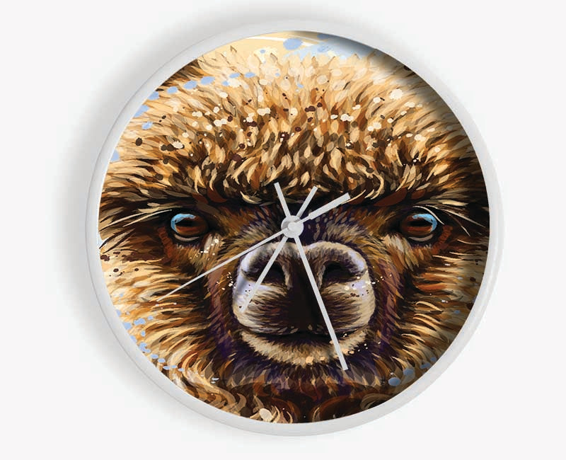 Alpaca Stare Clock - Wallart-Direct UK