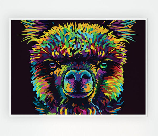Alpaca In Colour Print Poster Wall Art