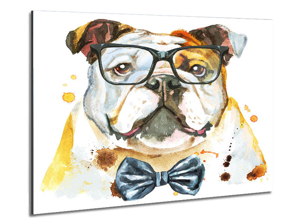 The Bulldog With Glasses Metal Print