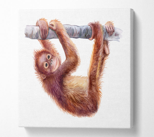 A Square Canvas Print Showing Hanging On A Branch Orangutan Square Wall Art