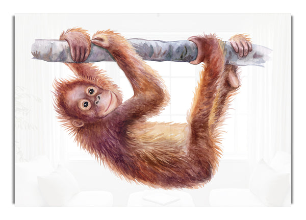 Hängen auf einem Ast Orang-Utan