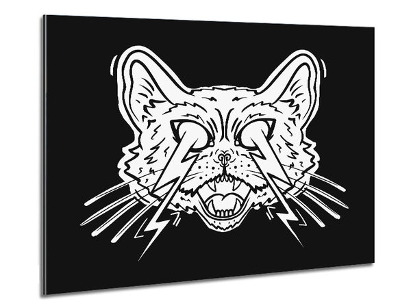 Blitz-Katzenaugen