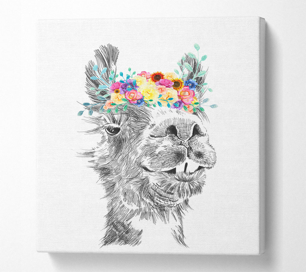 A Square Canvas Print Showing The Pretty Camel Square Wall Art