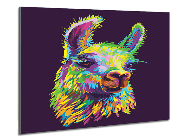 The Llama Head Metal Print