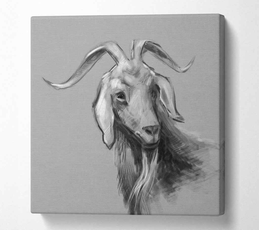 A Square Canvas Print Showing The Sketch Goat Square Wall Art