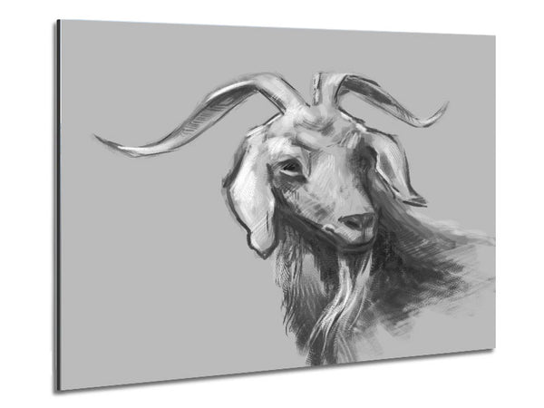 The Sketch Goat Metal Print