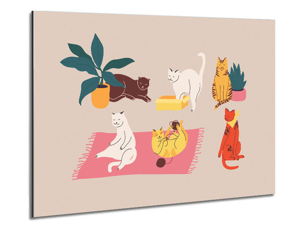 Peaceful Cat Home Metal Print