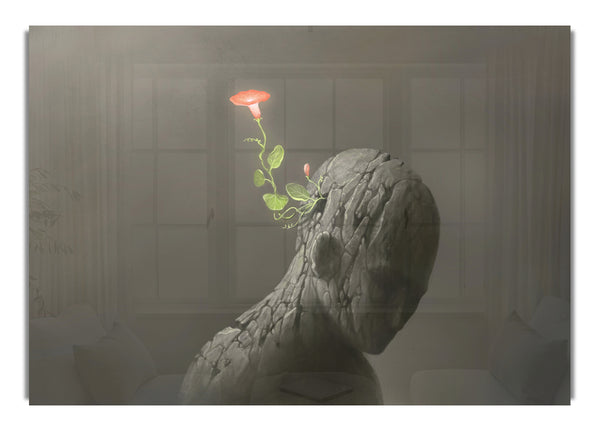 The Flower From The Concrete Man