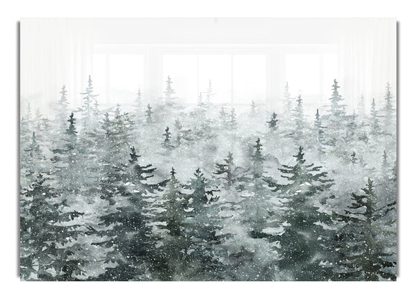 Schneebedeckte Baumkronen im Winter