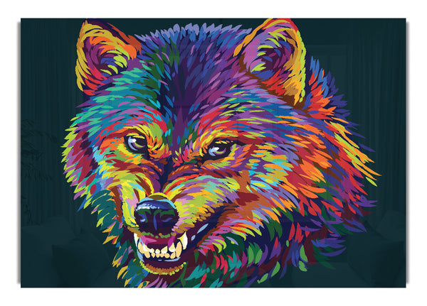 Knurrender Wolf Farbe